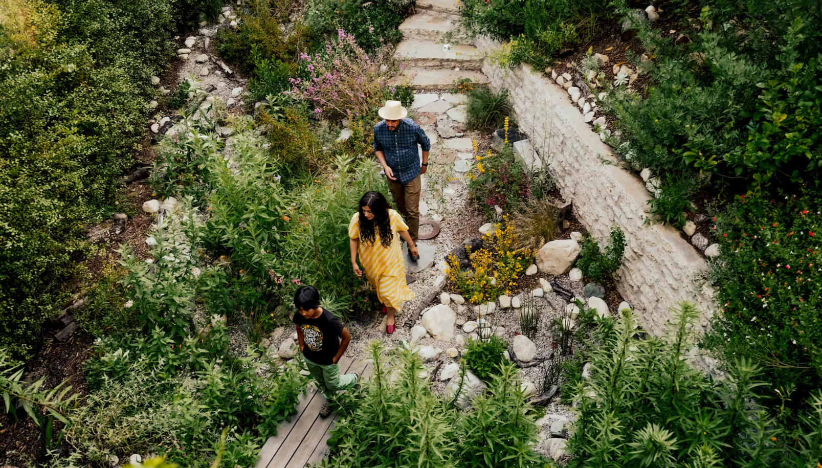 Dwell: A family of three walking across a California native garden viewed from overhead.
